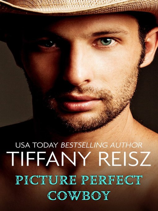 Title details for Picture Perfect Cowboy by Tiffany Reisz - Available